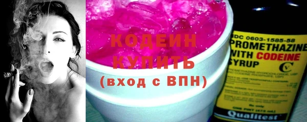 ГАЛЛЮЦИНОГЕННЫЕ ГРИБЫ Дмитриев