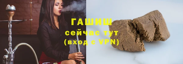 ГАЛЛЮЦИНОГЕННЫЕ ГРИБЫ Дмитриев