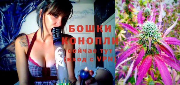 марки lsd Гусиноозёрск