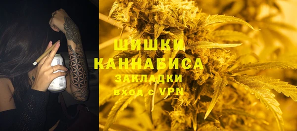 трава Гусев