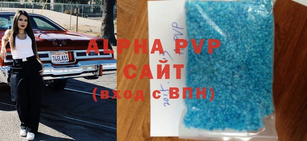 ГАЛЛЮЦИНОГЕННЫЕ ГРИБЫ Дмитриев