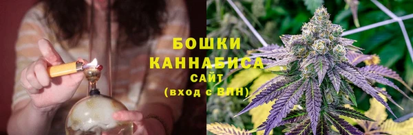 амф Горняк