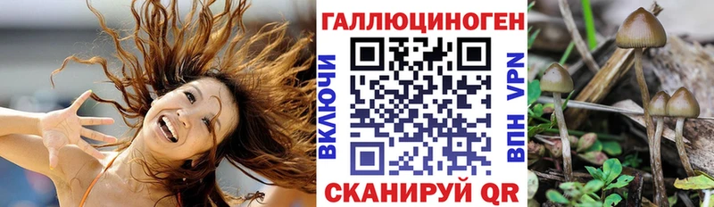 Галлюциногенные грибы ЛСД  как найти закладки  Елизово 